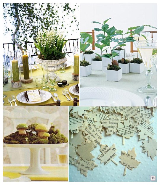 quel arbuste offrir pour un mariage